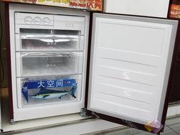 国产双开门冰箱制冰视频,高效便捷，冰爽生活新选择