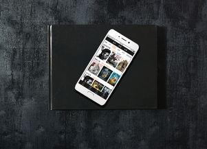 国产积木视频app,视频APP带你领略创意无限的世界