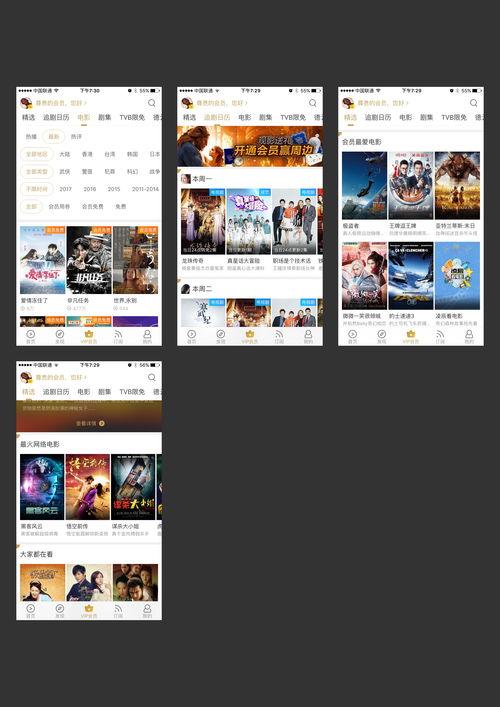 国产积木视频app,视频APP带你领略创意无限的世界