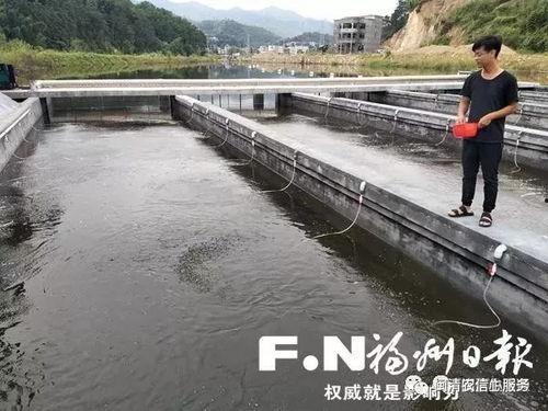 国产鱼塘手机视频,揭秘鱼塘生态与养殖技术新篇章  第3张