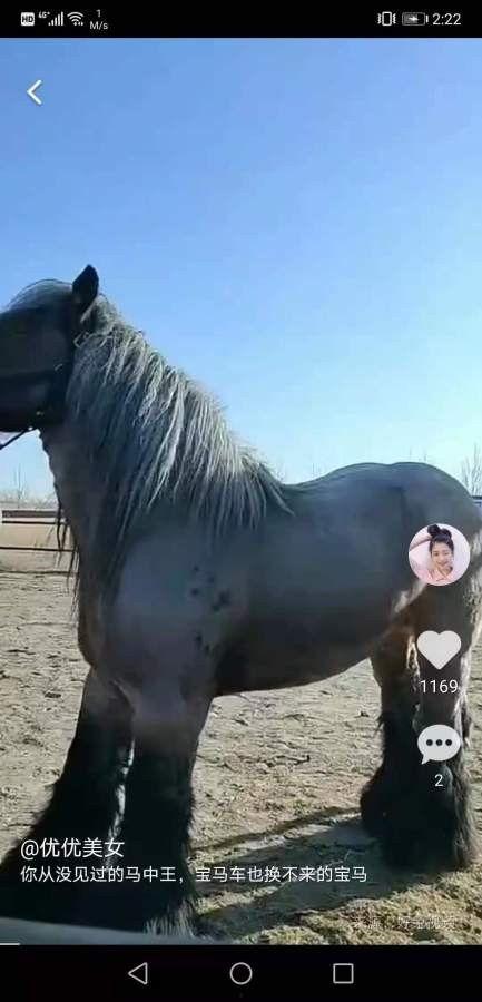 刮马视频在线观看国产,刮马视频，带你领略国产魅力