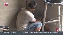 国产土霸王视频,揭秘中国乡村创业传奇