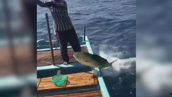 国产路亚钓鱼竿钓鱼视频