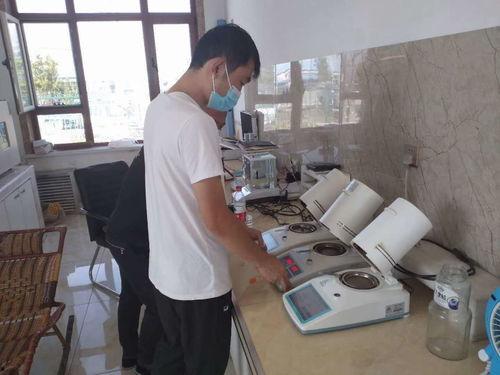 国产粮食增多器视频,创新科技助力粮食增产新篇章