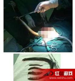 黄鳝门高清视频国产
